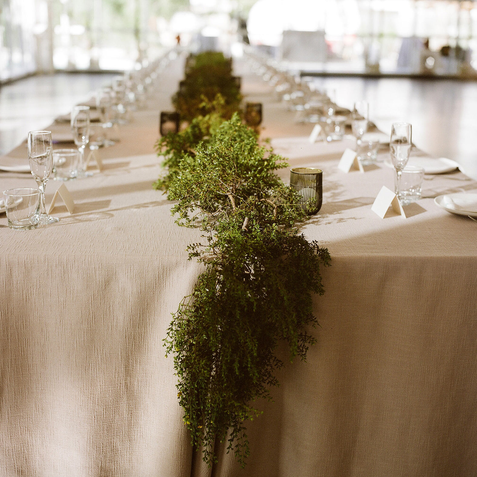 Close up shot of the creosote garlands that flow all the way down the centers of the long tables. 
