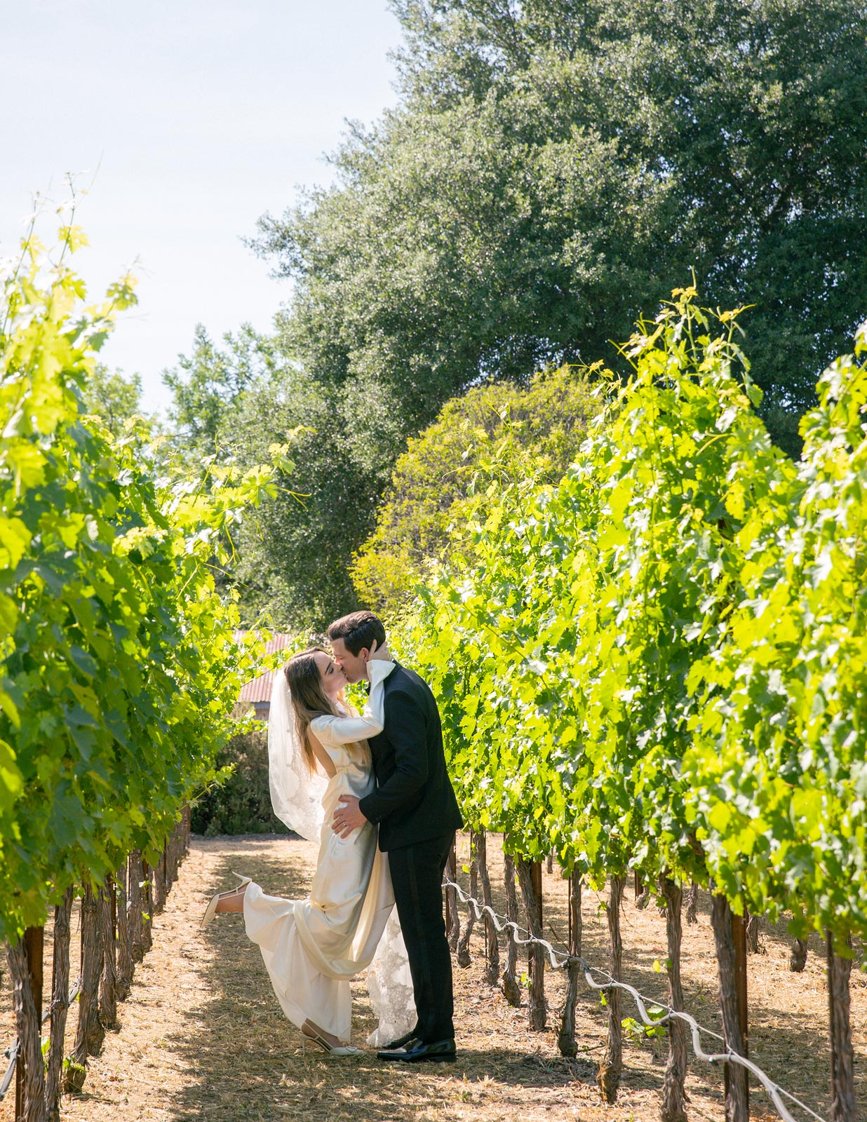 Wide shot of the couple kissing in the field of grapevines.