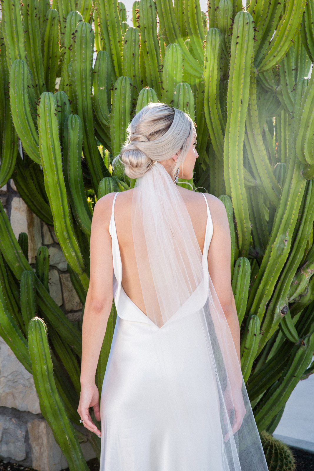 Medium shot of K with her back facing the camera standing in front of a cluster of tall cactus.