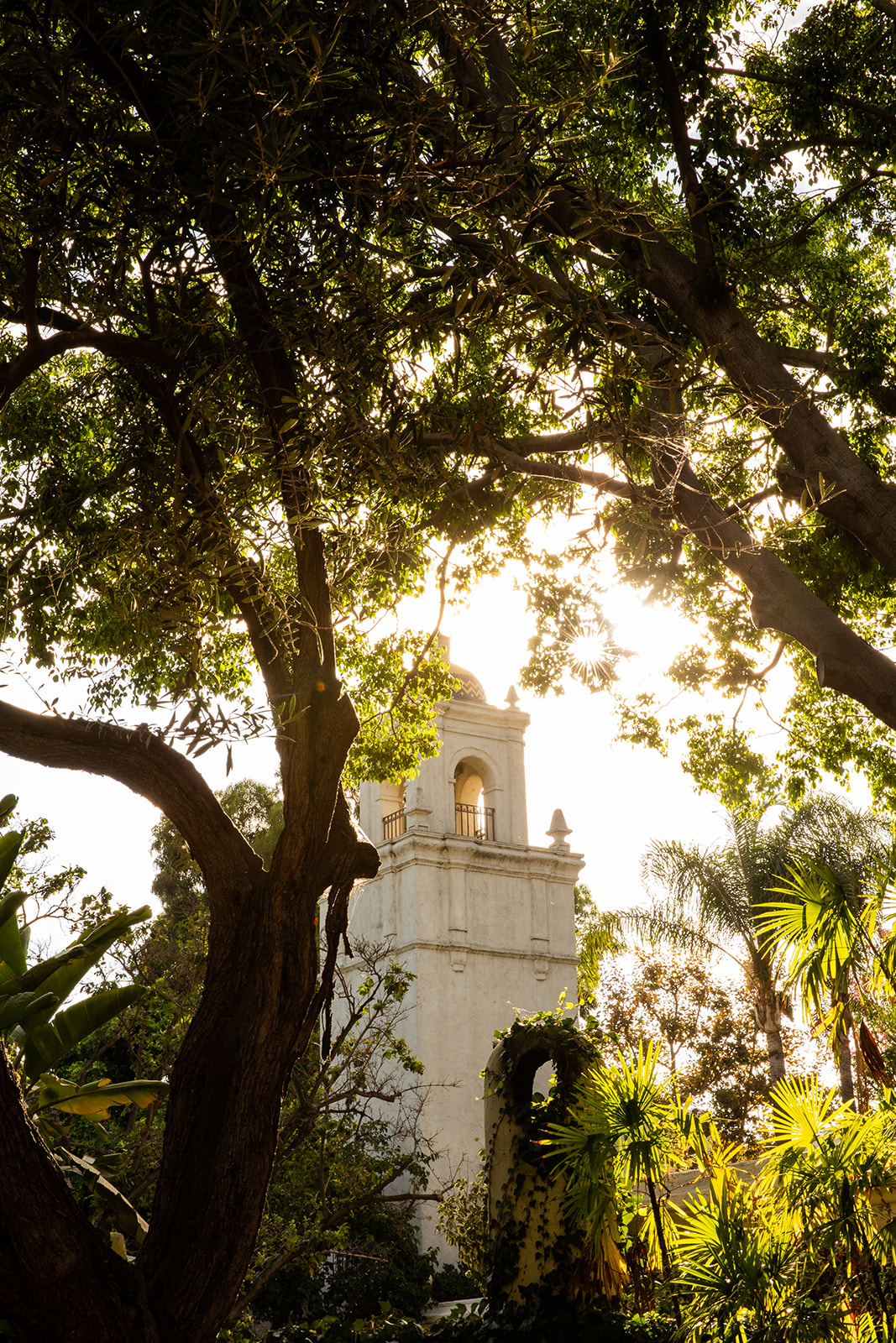 This wide shot captures a serene view of the white bell tower peeking through lush, green foliage under a radiant, sunlit sky at the Los Angeles River Center and Garden in the heart of Los Angeles.