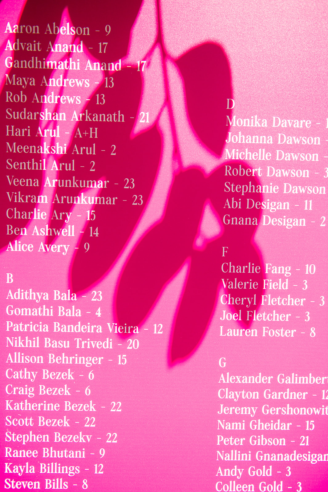 Close-up detail of the bright pink seating chart.