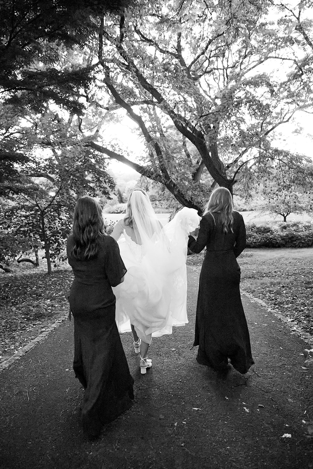 Black-and-white image that captures the back view of the bride walking along a tree-lined path with two bridesmaids. The bride is in the center, wearing a long white wedding gown with a veil, and the bridesmaids, both in dark gowns, are walking alongside her, helping to hold up her dress as she walks. The bride wears high-heeled shoes, and her dress flows elegantly behind her. The tall, majestic trees arch overhead.